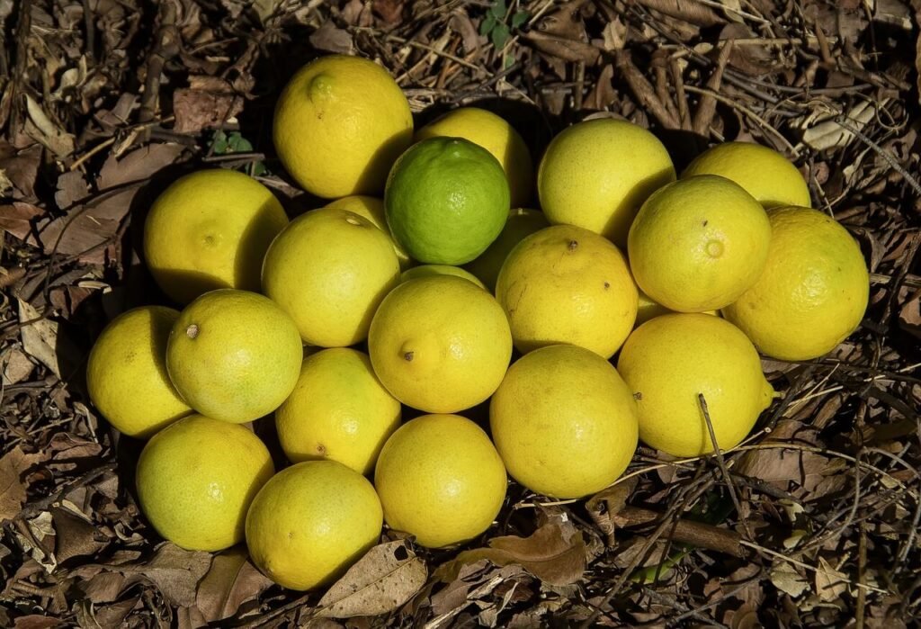 limes