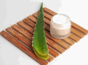 care for aloe plant