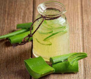 how to propagate aloe vera