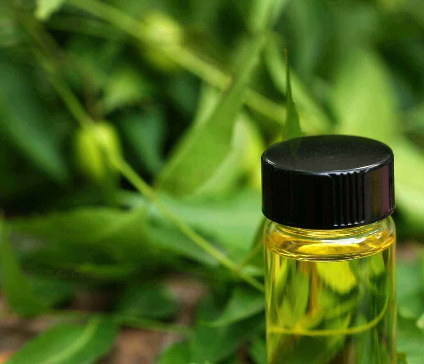 Benefits of neem on hair