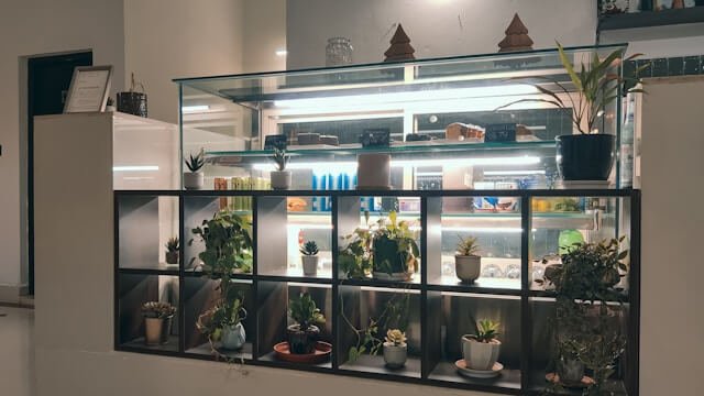 Indoor garden-aesthetic-design-in small space Indoor garden-aesthetic-design-in small space