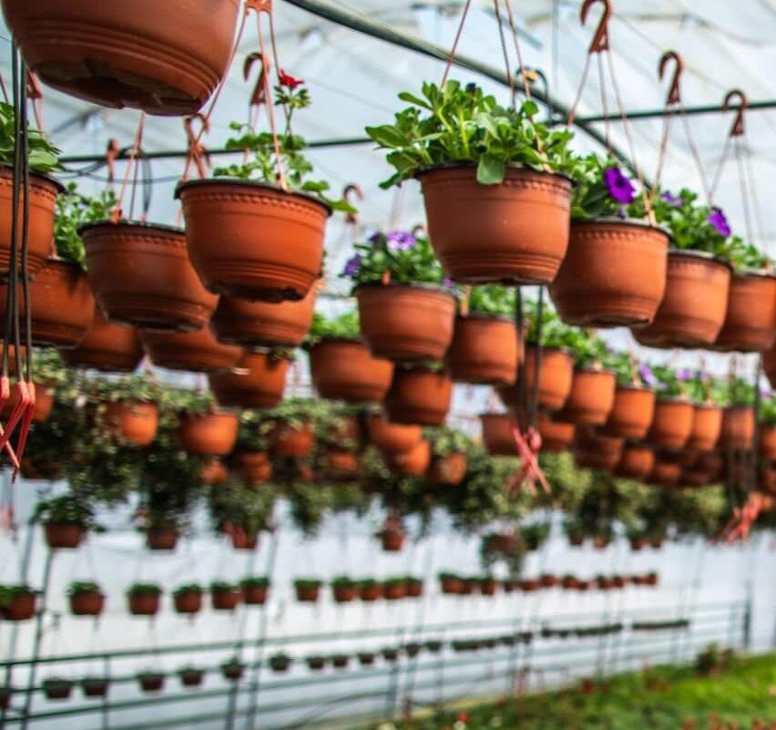 best-smart-indoor-gardens