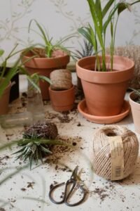 diy-indoor-fairy-garden-ideas-or-fairy-garden-ideas-for-indoors.