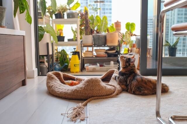 japanese-style-indoor-garden-design
