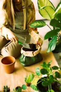 premium_photo-retuch premium_photo-retuch