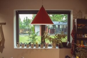 small-room-plants