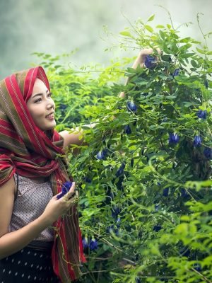 herb gardens indoor-indoor herb gardens kits-indoor herb gardens