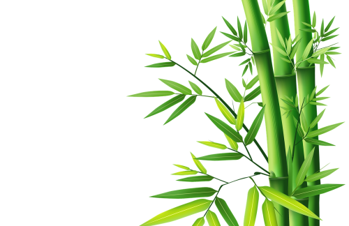 bamboos