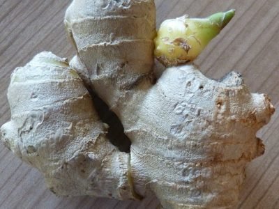indoor vegetable gardening ideas indoor vegetable gardening ideas