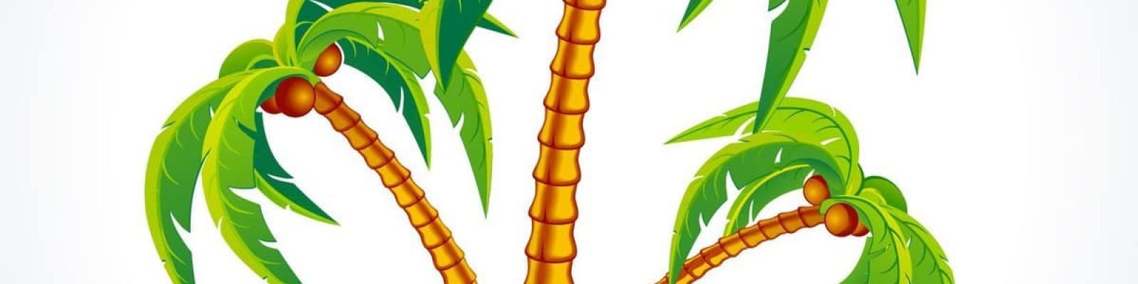 palm
